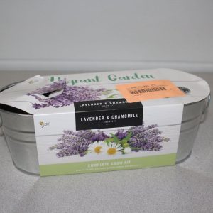 BUZZY Zen Windowsill Garden Grow Kit